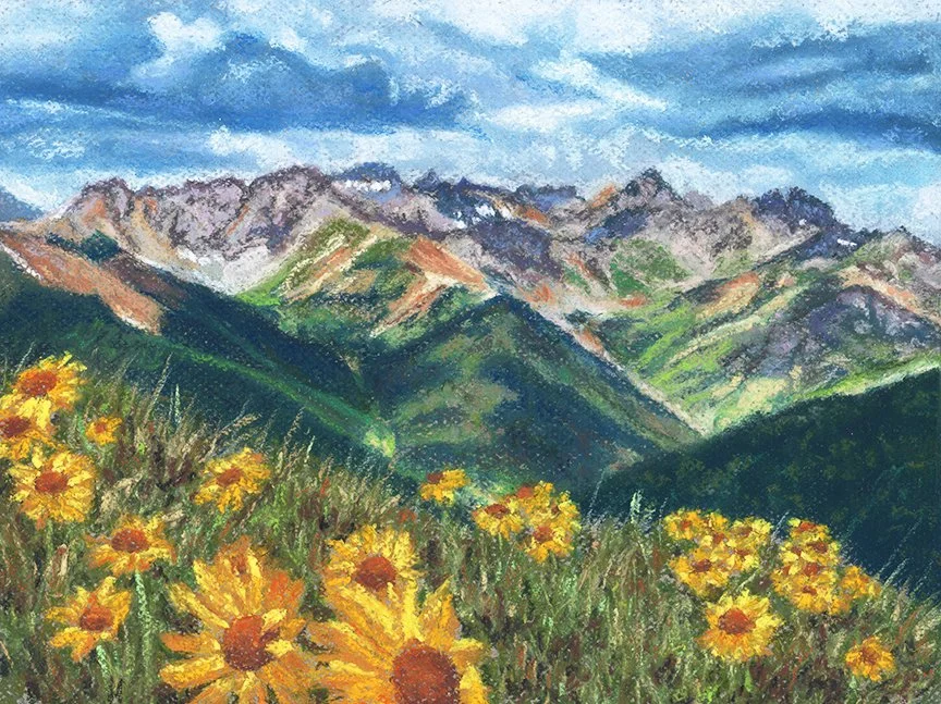 Wildflowers Hiking Engineer Mountain Colorado Fine Art Print